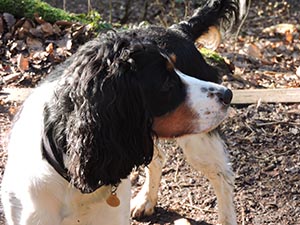 January 2017 Photo 11